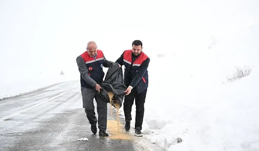 Battalgazi'de Yaban Hayvanlarına Kış Desteği