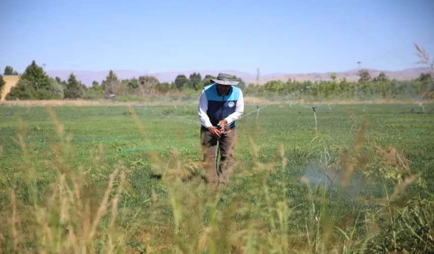 Battalgazi Belediyesinde çim üretimi